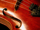 violin